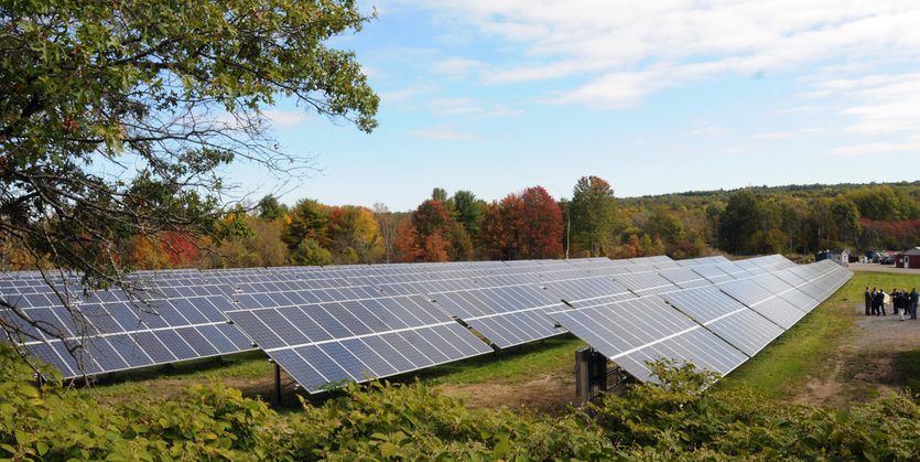 Array of solar panels on a farm